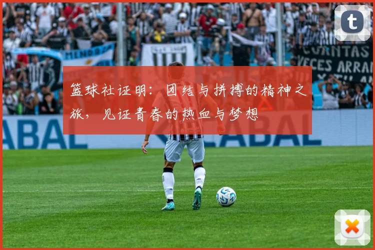 篮球社证明：团结与拼搏的精神之旅，见证青春的热血与梦想