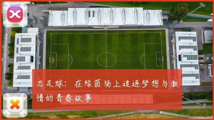 恋足球：在绿茵场上追逐梦想与激情的青春故事